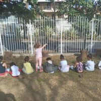 e-quem-disse-que-crianca-pequena-nao-pesquisa-