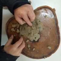 escola-infantil-na-pampulha-