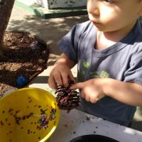 escola-infantil-na-pampulha-