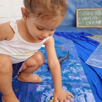 explorando-o-fundo-do-mar-