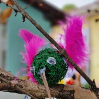 mostra-cultural-2022-