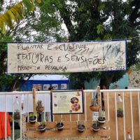 mostra-cultural-2022-