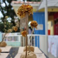 mostra-cultural-2022-